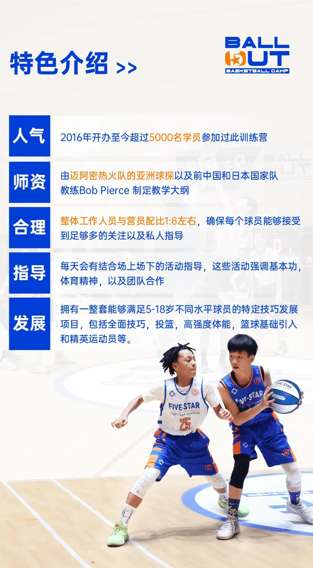 哪里可以找到专业的篮球训练支持团队
